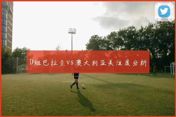 D组巴拉圭vs澳大利亚关注度分析